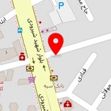 آرایشگاه خانم طلا