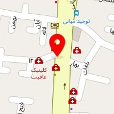 شرکت هانیکس