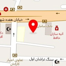 دکتر پریسا لطفی