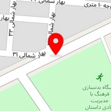 خدمات فنی اسنوا