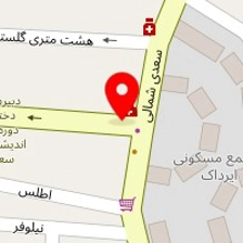 دکتر محمدتقی چت سازی