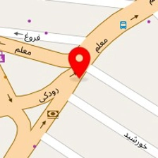 دکتر فاطمه دینی