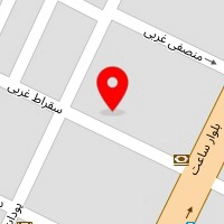 شرکت سفیران فناوری آویژه