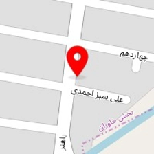 قالیشویی نقشینه