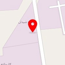 شرکت دستپخت مادربزرگ ایلیکا