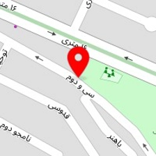 قالیشویی رایکا