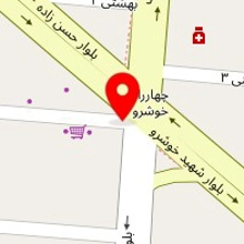 شرکت خدمات فراگستر نوین