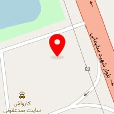 شرکت امیران بار