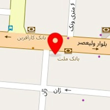 دکتر زهرا نوروززاده