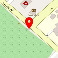 شرکت فنی مهندسی ایرانیان اریس