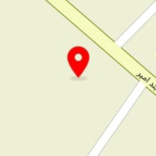 قالیشویی گل ابریشم