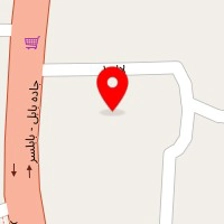 شرکت هامان