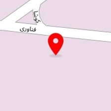 شرکت خودرنگ کیش