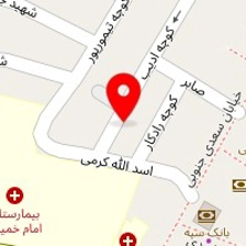 دکتر محمدامیر احمدیان