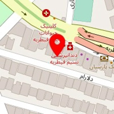 شرکت ایزوفام