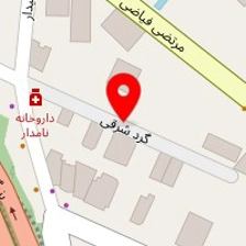 مهندسین ای. اس. ام (asm)