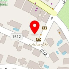 دلند الکترونیک