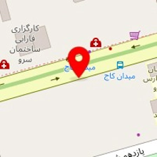 شرکت رژین پی