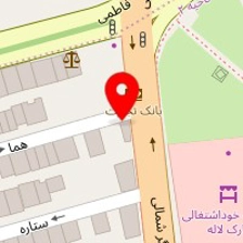 شرکت مانگ