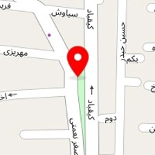 شرکت آمیتیس نگار