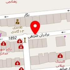 آذر دقیق ایرانیان آدیکو