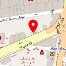 شرکت پرداویژه