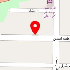 شرکت بلک گلد سرویسز کیش