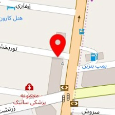 شرکت نگین کاریاب امیران