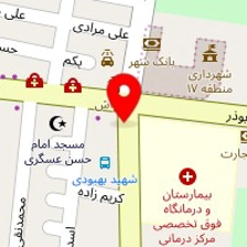 درب اتوماتیک پارسه