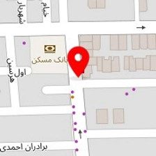 موسسه فنی امیر