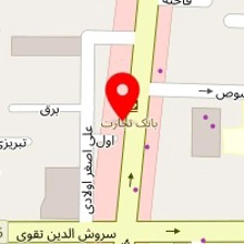 الکترو کوشک