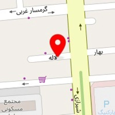 گروه بازرگانی همسان
