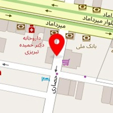 شرکت نیم رخ