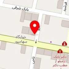 شرکت راویان