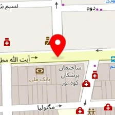 پیمانکاری وریاماتاک