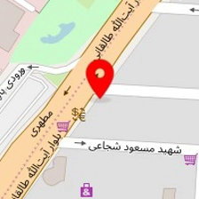 مجتمع فنی رایانگان