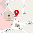 تاکسی دربستی امیر