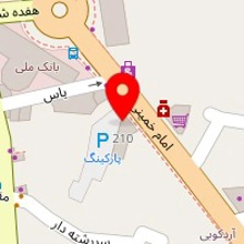 شرکت پارسیلو