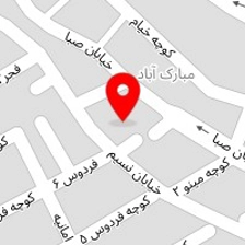 سالن زیبایی سیب نقره ای