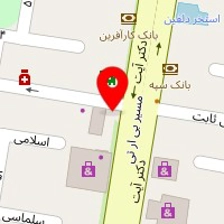 دکتر هنگامه محمدی