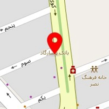 دکتر شادی اسدی