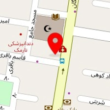 دکتر نادره صدیقی