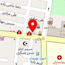 دکتر جهانگیر ایران زاد
