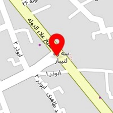 سالن زیبایی برگ سبز