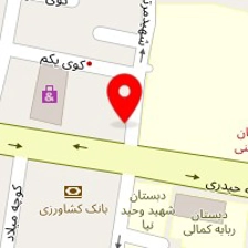 دکتر محمد علوی