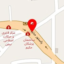 دکتر ندا محمدی