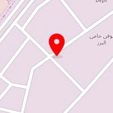 شرکت توسعه گران الکترونیک رخش