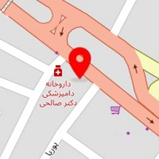 الکترونیک دید