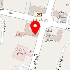 الکترو پالس