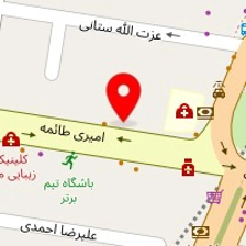 دکتر مریم ابهری